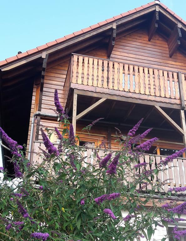 Ferienhaus Berg.Erleben Hilders Ngoại thất bức ảnh